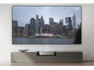 Leica Daylight Screen 120"