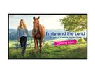 SHARP UHD Display,350Kand.,16/7, - 43",D-LED Backlight,