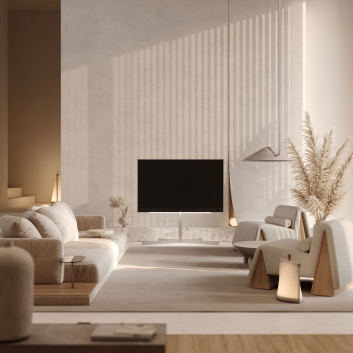 Loewe stellar 65 dr+ alu + alu matt - Tizen, Loewe OLED UHD TV 65"