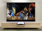 Celexon HomecinemaPlus 110" schwarz