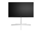 Loewe stellar 65 dr+ alu black + lava - Loewe OLED UHD TV 65"
