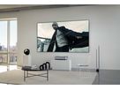 Leica Daylight Screen 100"