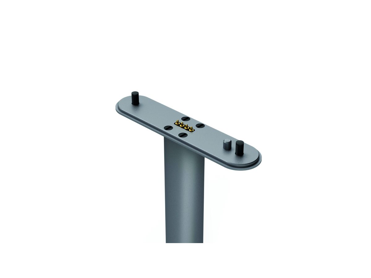 Leica Laser Cinema CinePlay1 Floorstand