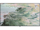 Loewe bild i.77 dr+ - Basalt Grey, Loewe OLED UHD TV