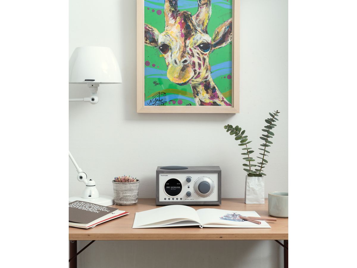 Tivoli Model One+ grau/weiss