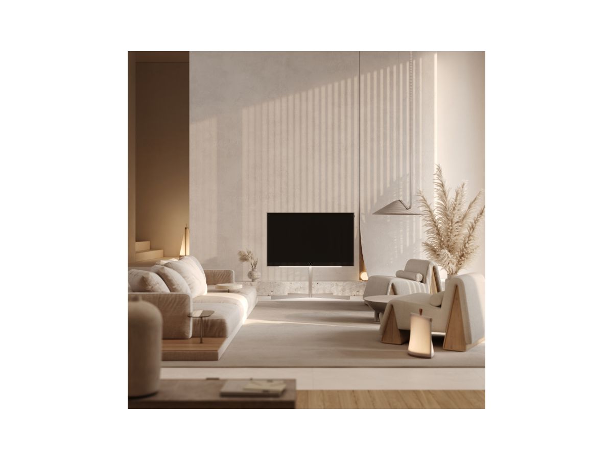 Loewe stellar 55 dr+ alu + alu matt - Loewe TV OLED UHD 55"