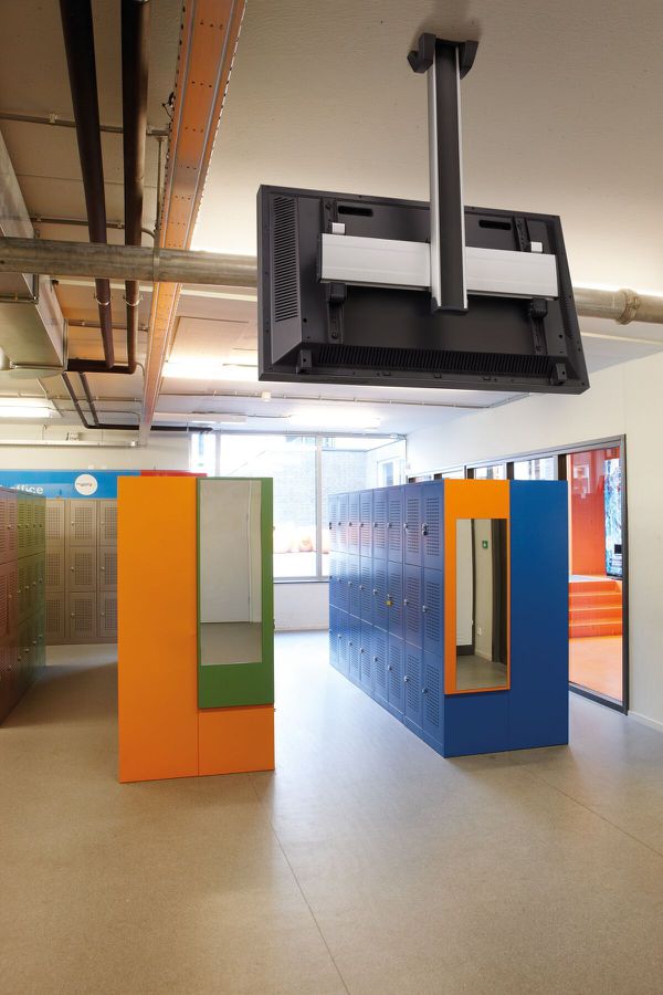 Vogel's Pro Support plafond Set - Display, top, 65", 80Kg, noir, 80CM