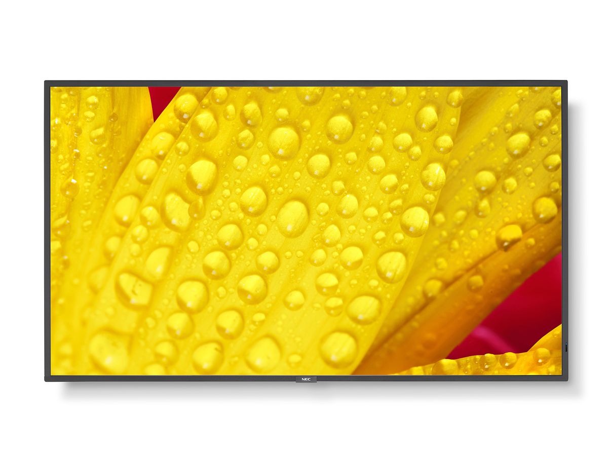 NEC 50" LCD Display - UHD, 18/7, 400cd/m2
