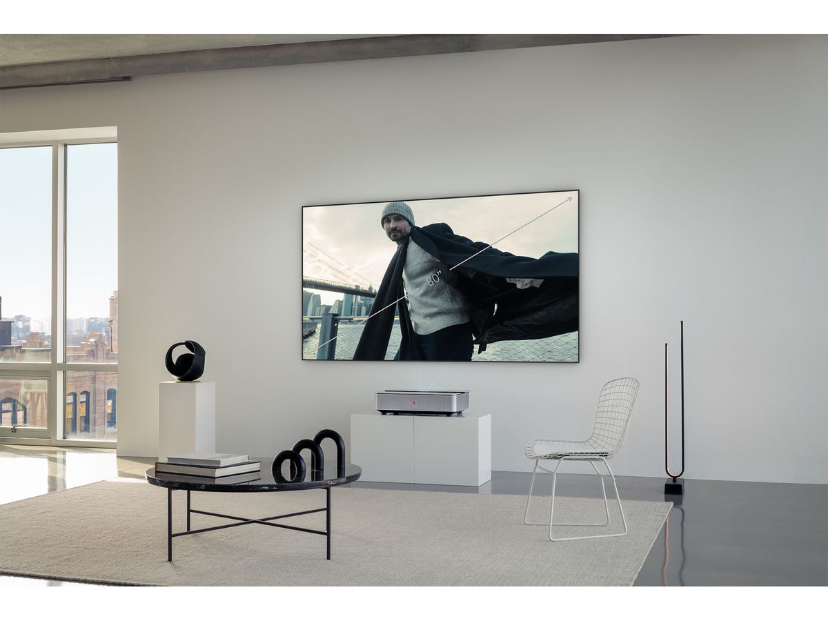 Leica Daylight Screen 80"