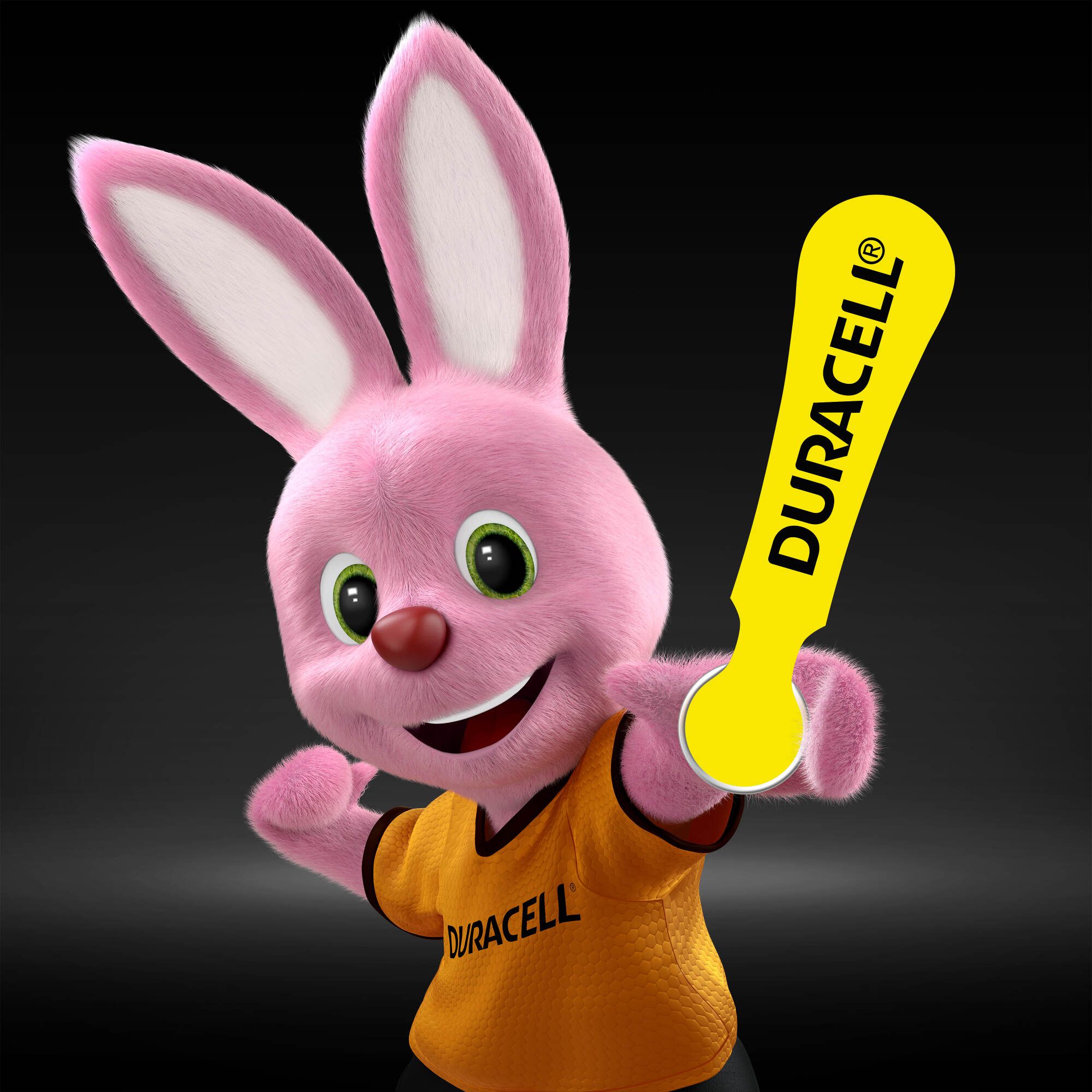 10 1.4V Zinc air EasyTab D6