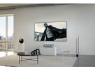 Leica Daylight Screen 80"