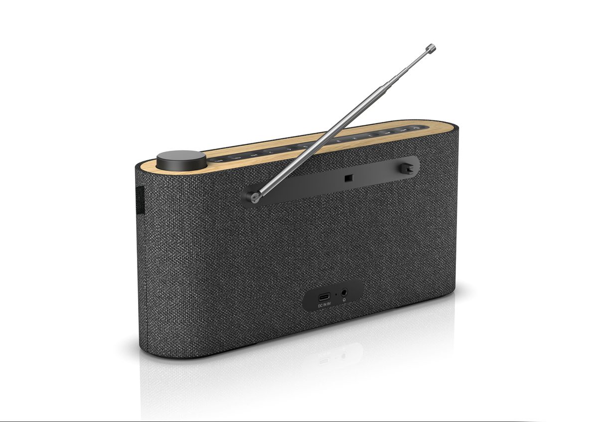 Loewe radio.frequency - Basalt Grey, Loewe Audio