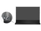 Celexon HomecinemaPlus 110" schwarz