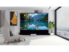 Celexon HomecinemaPlus 110" schwarz