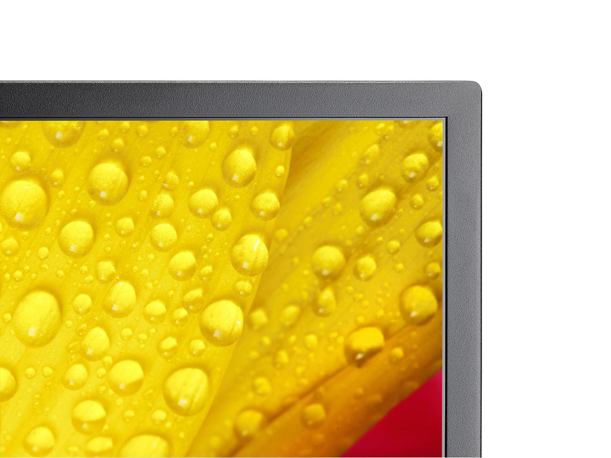 NEC 43" LCD Display (WCG) - UHD, 24/7, 500cd/m2