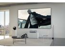 Leica Daylight Screen 120"