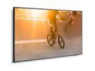 NEC 75" LCD Display (WCG) - UHD, 24/7, 700cd/m2