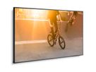 NEC 75" LCD Display (WCG) - UHD, 24/7, 700cd/m2