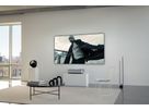 Leica Daylight Screen 80"
